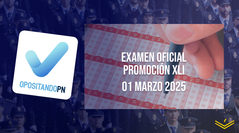 Imagen de la publicación